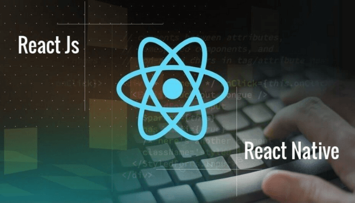 reactjs-va-react-native