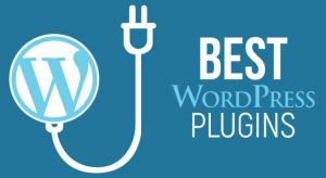 Website WordPress hỗ trợ chuẩn SEO