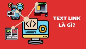 Textlink là gì?
