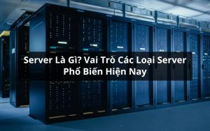 server là gì